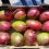 Mango season starts